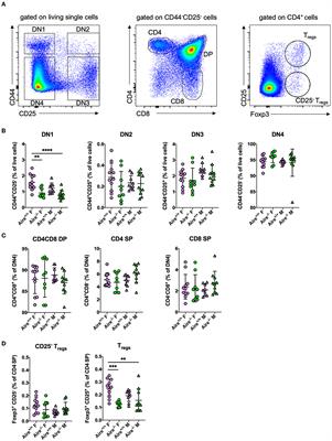 Autoimmune Regulator (AIRE) Deficiency Does Not Affect Atherosclerosis and CD4 T Cell Immune Tolerance to Apolipoprotein B